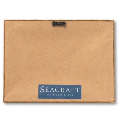 Framed Seagull Postcard