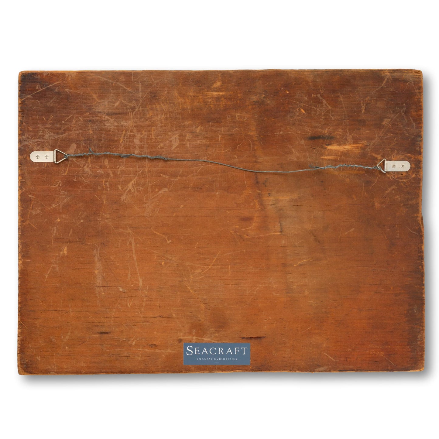 Hand Carved Seagull Wall Plaque