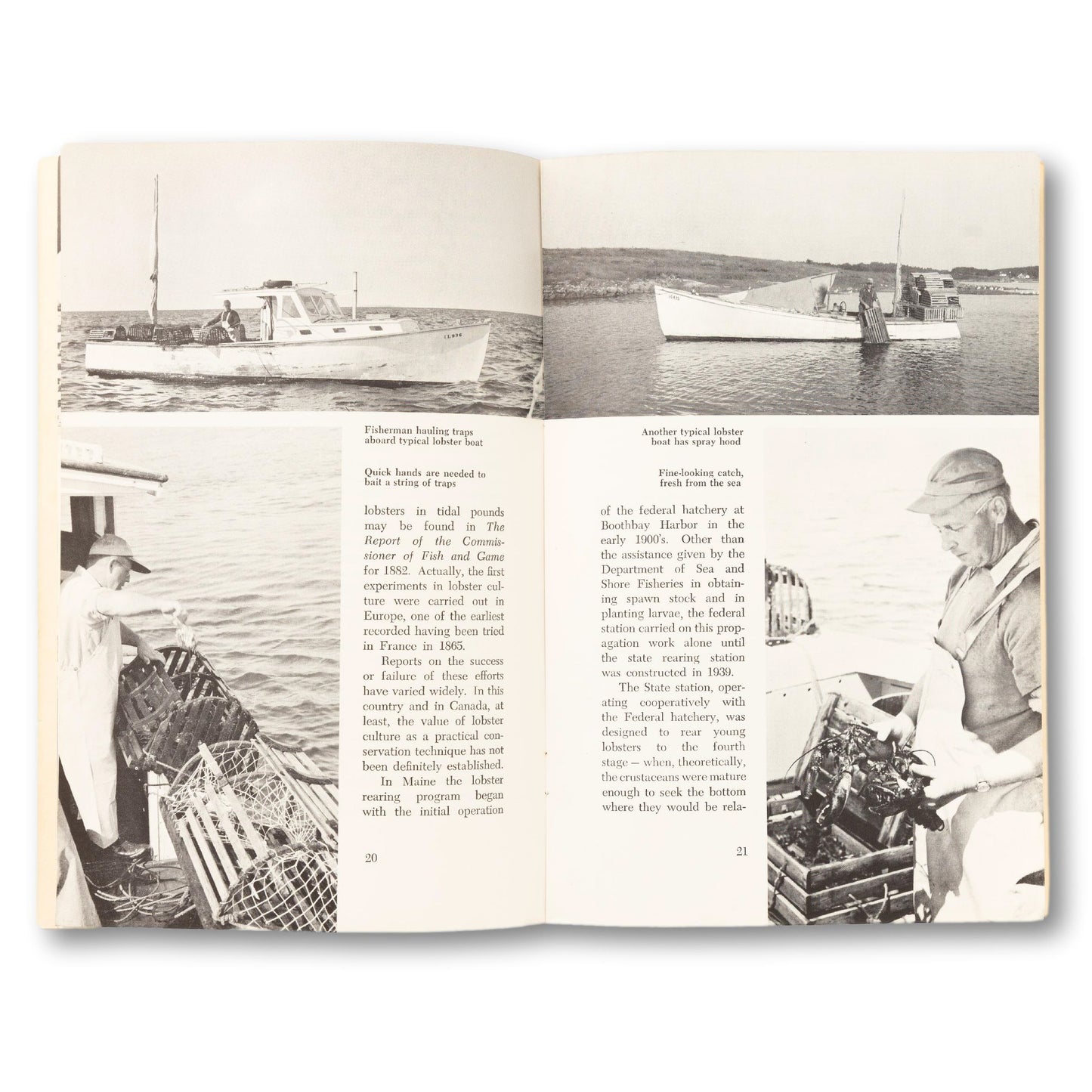"Maine's King Lobster" Booklet