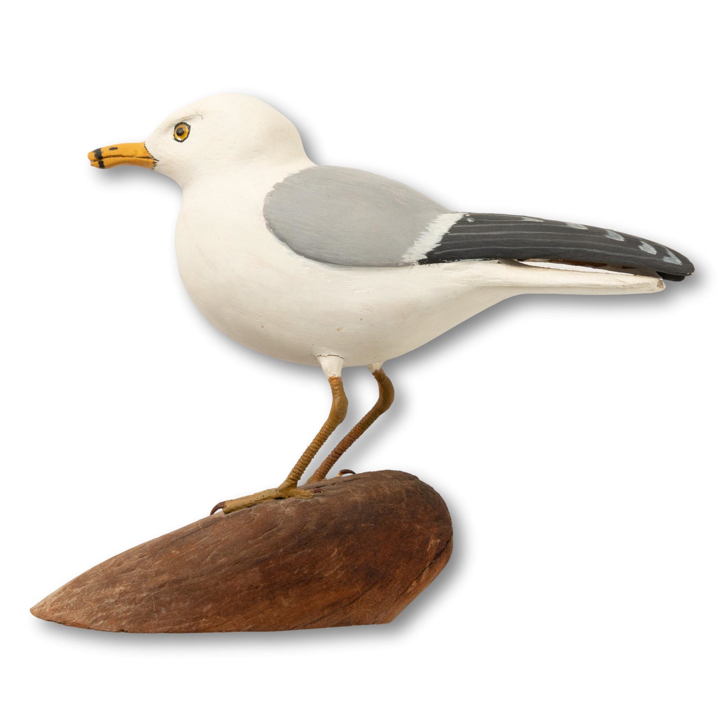 Gull on Driftwood