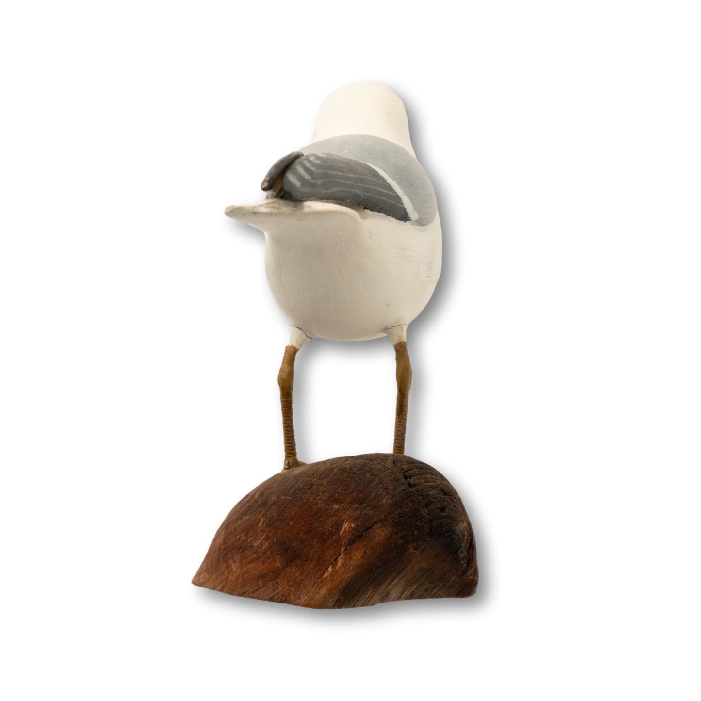Gull on Driftwood