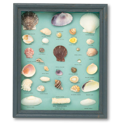 Seashell Diorama
