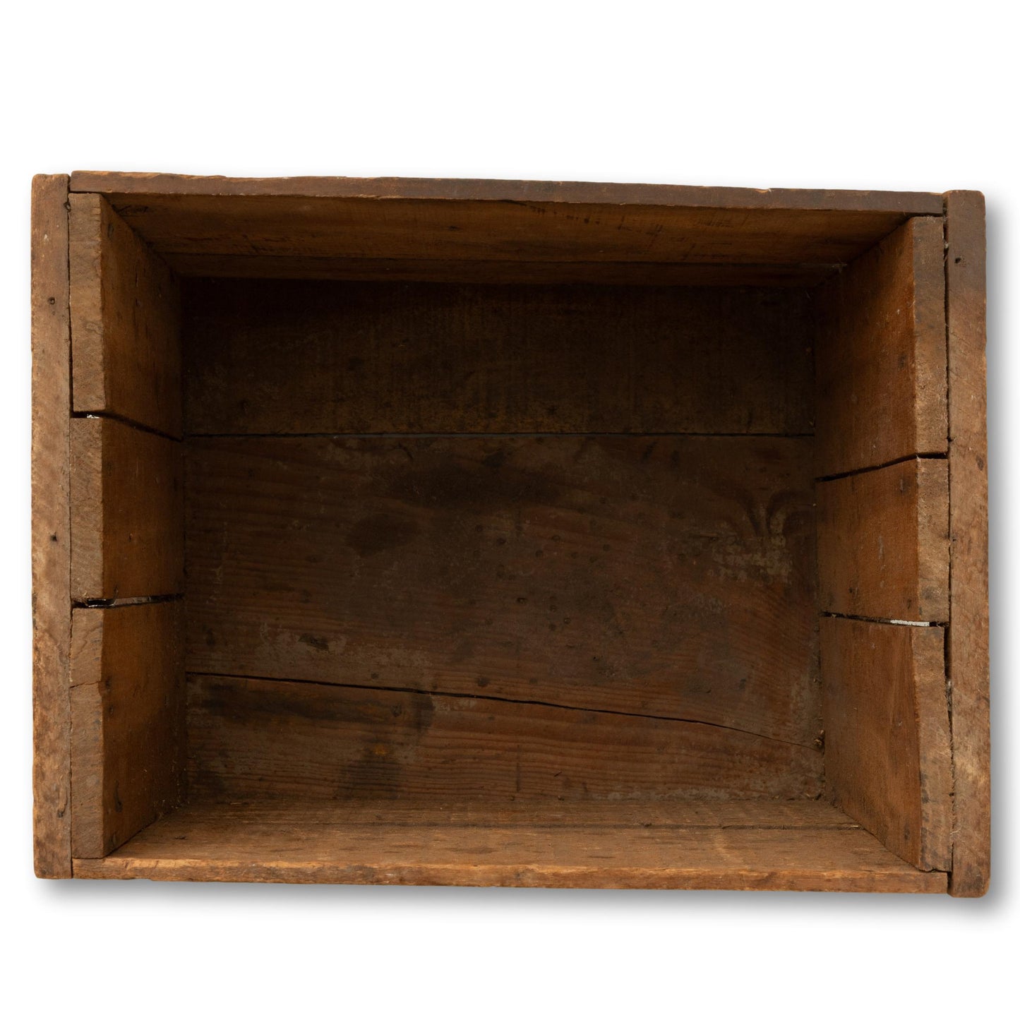 Fresh Oysters Crate
