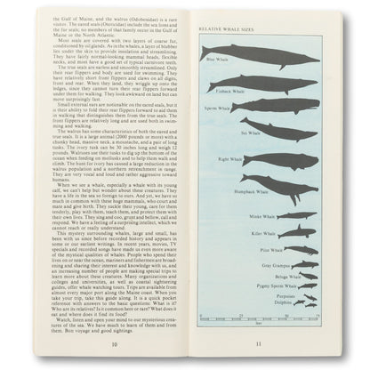 Maine Geographic "Whales and Seals" Guide