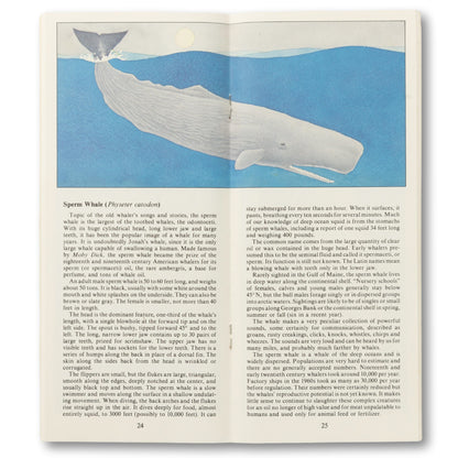 Maine Geographic "Whales and Seals" Guide