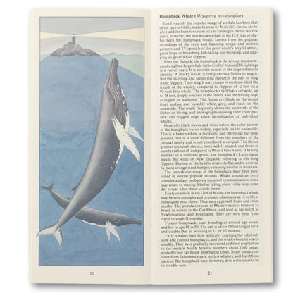 Maine Geographic "Whales and Seals" Guide