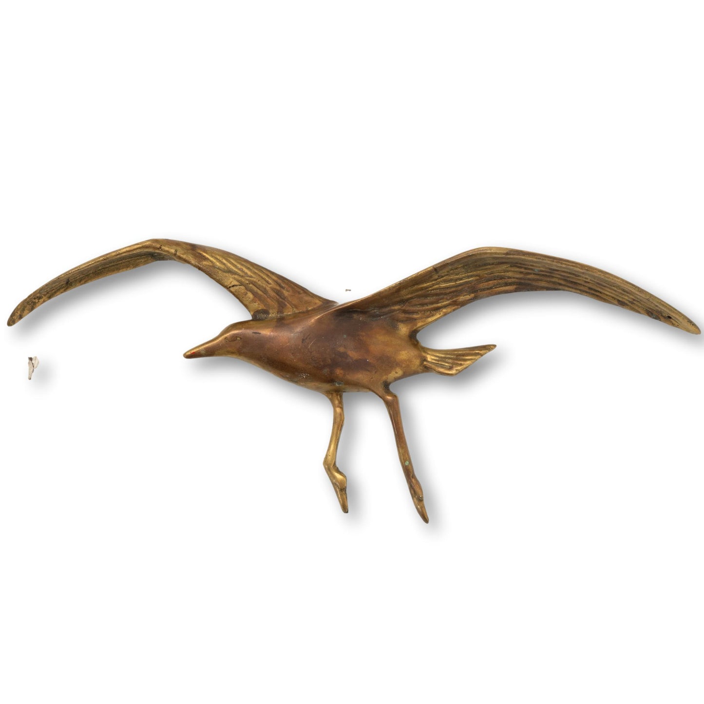 Brass Seagull Wall Mount