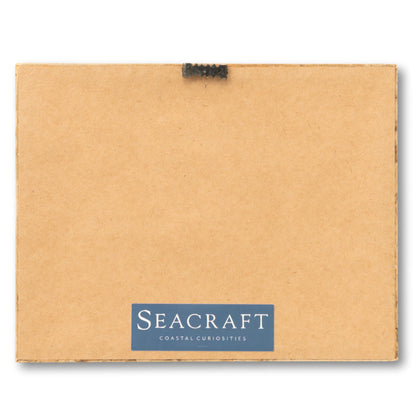 Framed Seagull Postcard
