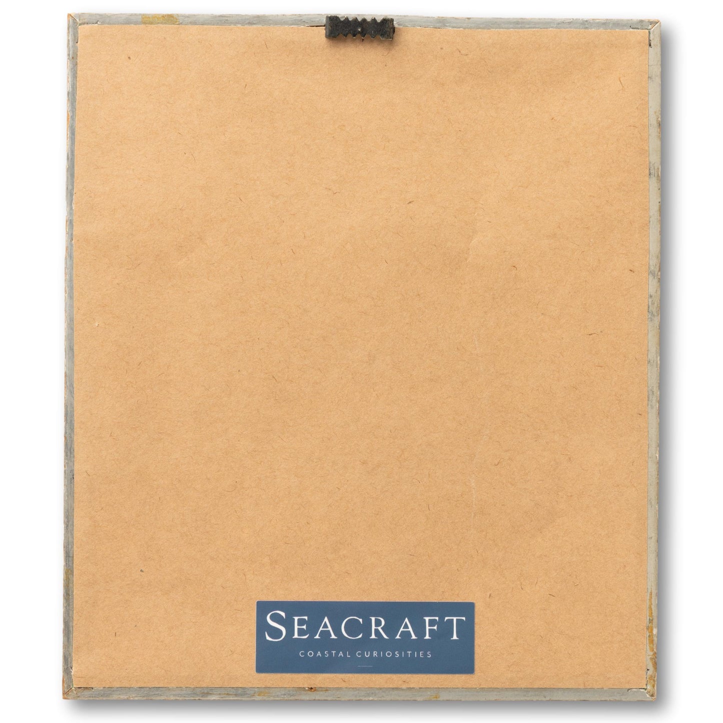 "No Swimming (Suits) After Dark" Sign