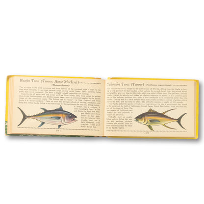 "Salt Water Fish" A Guide Book