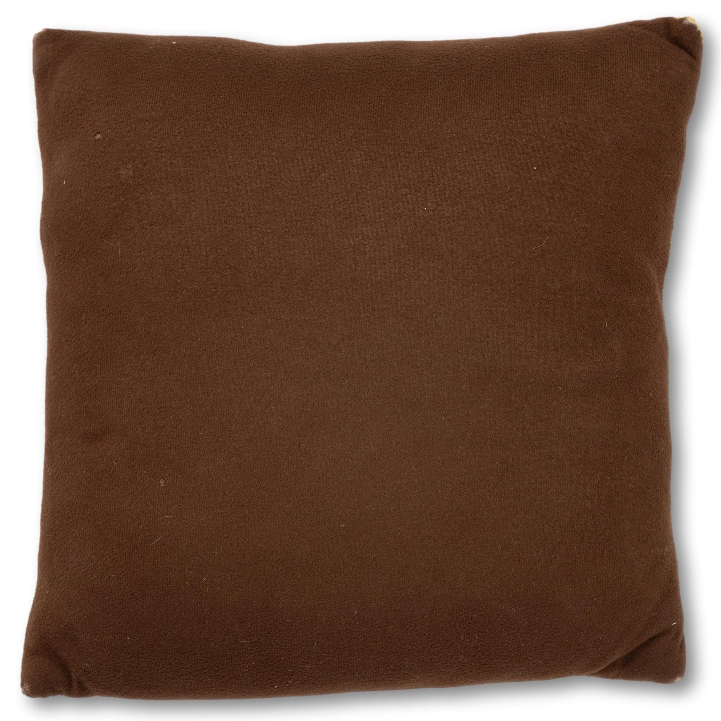 Needlepoint Eagle Pillow