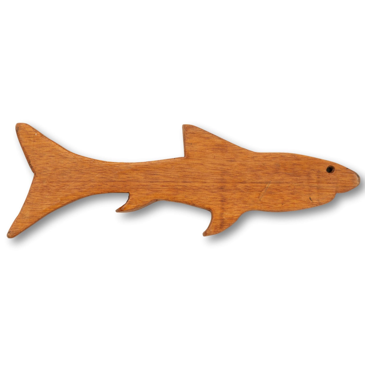 Folky Shark