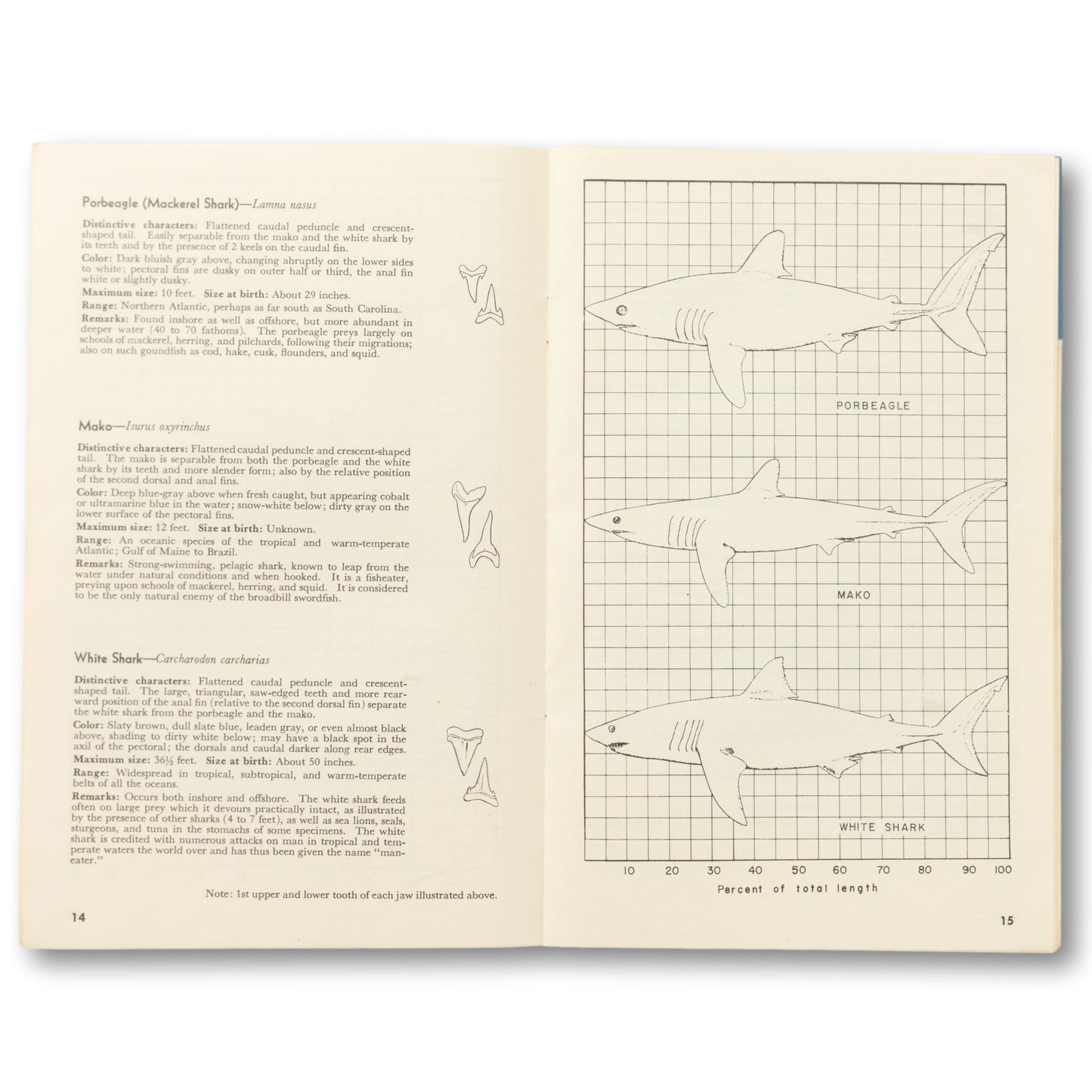 "Anglers' Guide To Sharks" Booklet