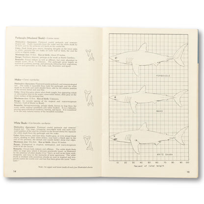"Anglers' Guide To Sharks" Booklet