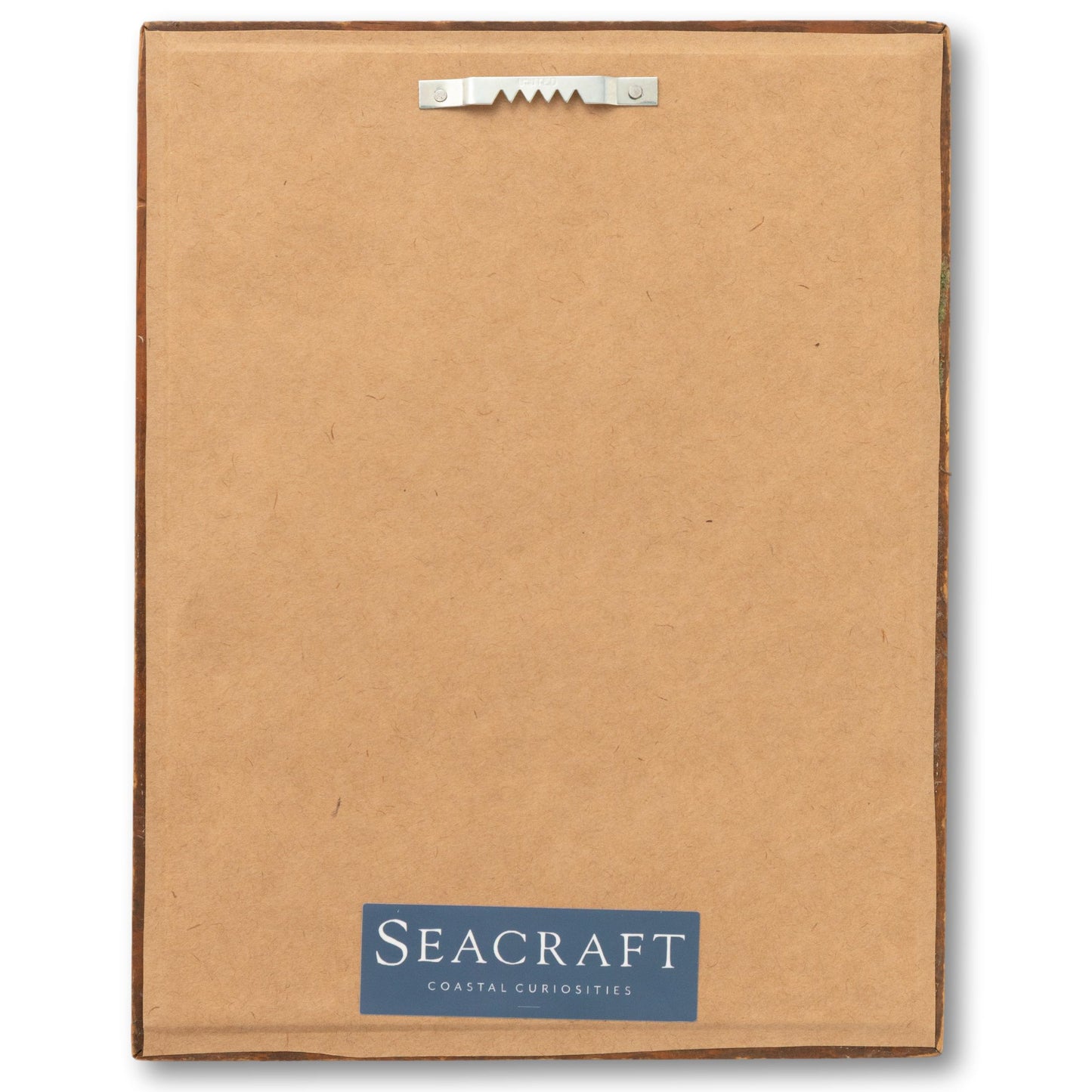 Framed Pirate Handkerchief