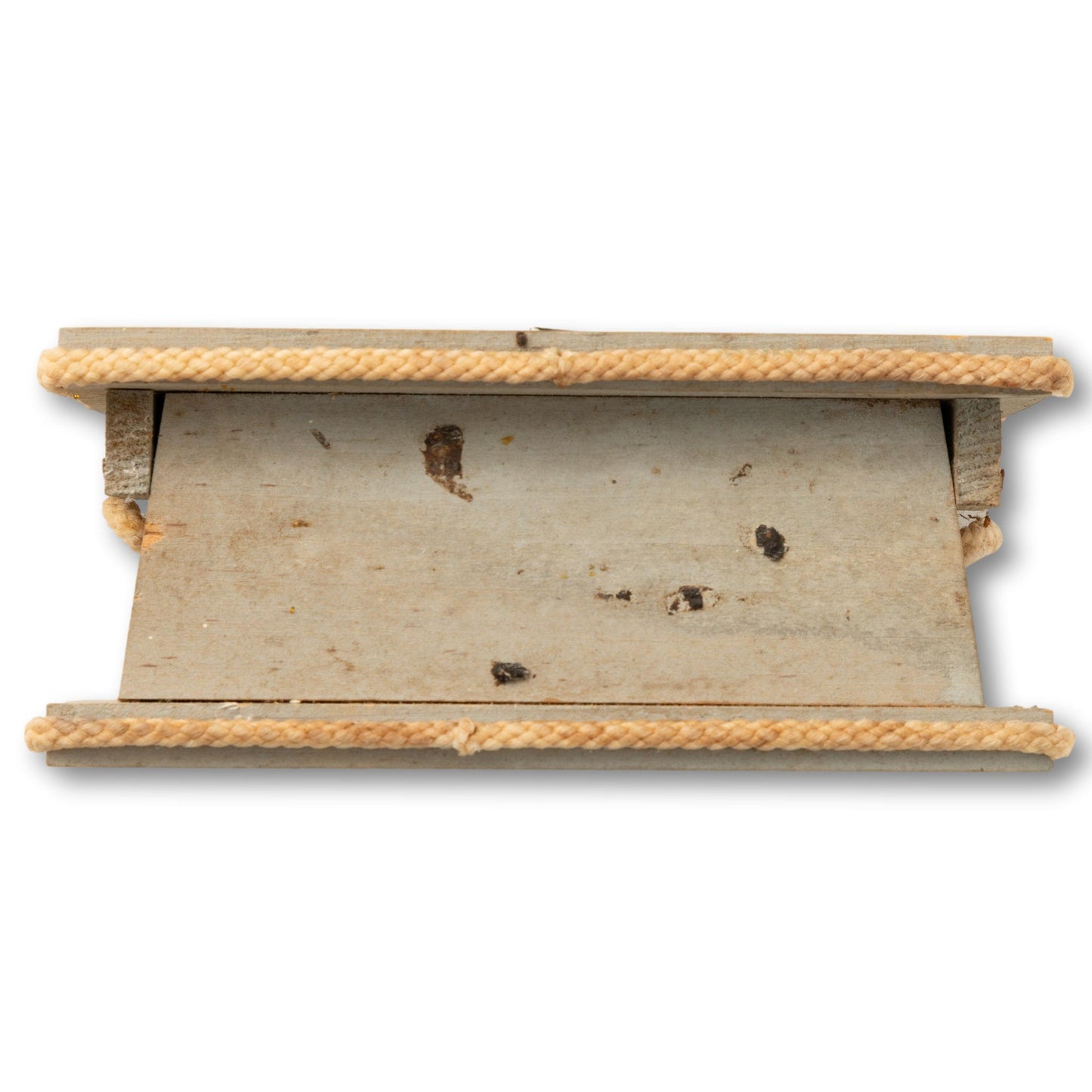 Seagull Treasure Box
