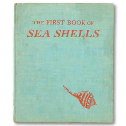 The First Book of Sea Shell
