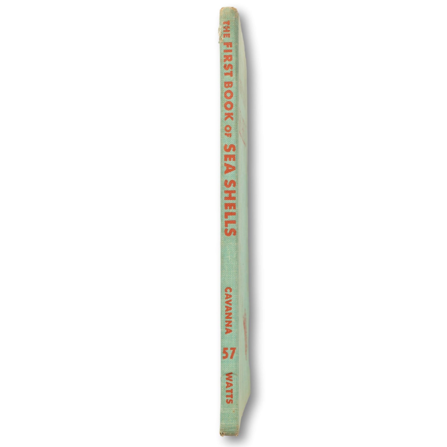 The First Book of Sea Shell