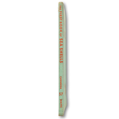 The First Book of Sea Shell