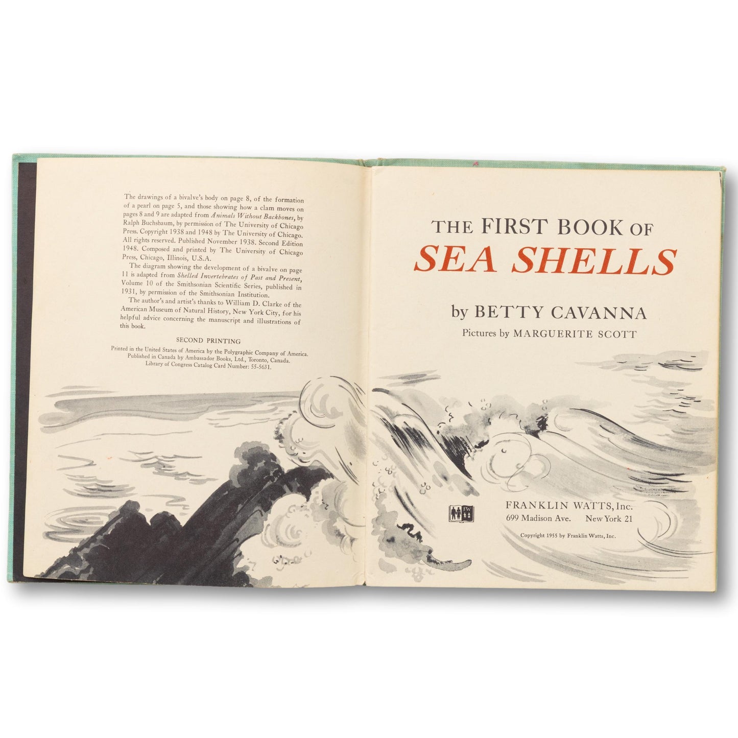 The First Book of Sea Shell