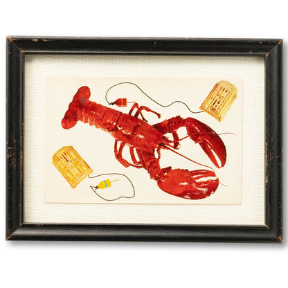 Framed Lobster Postcard