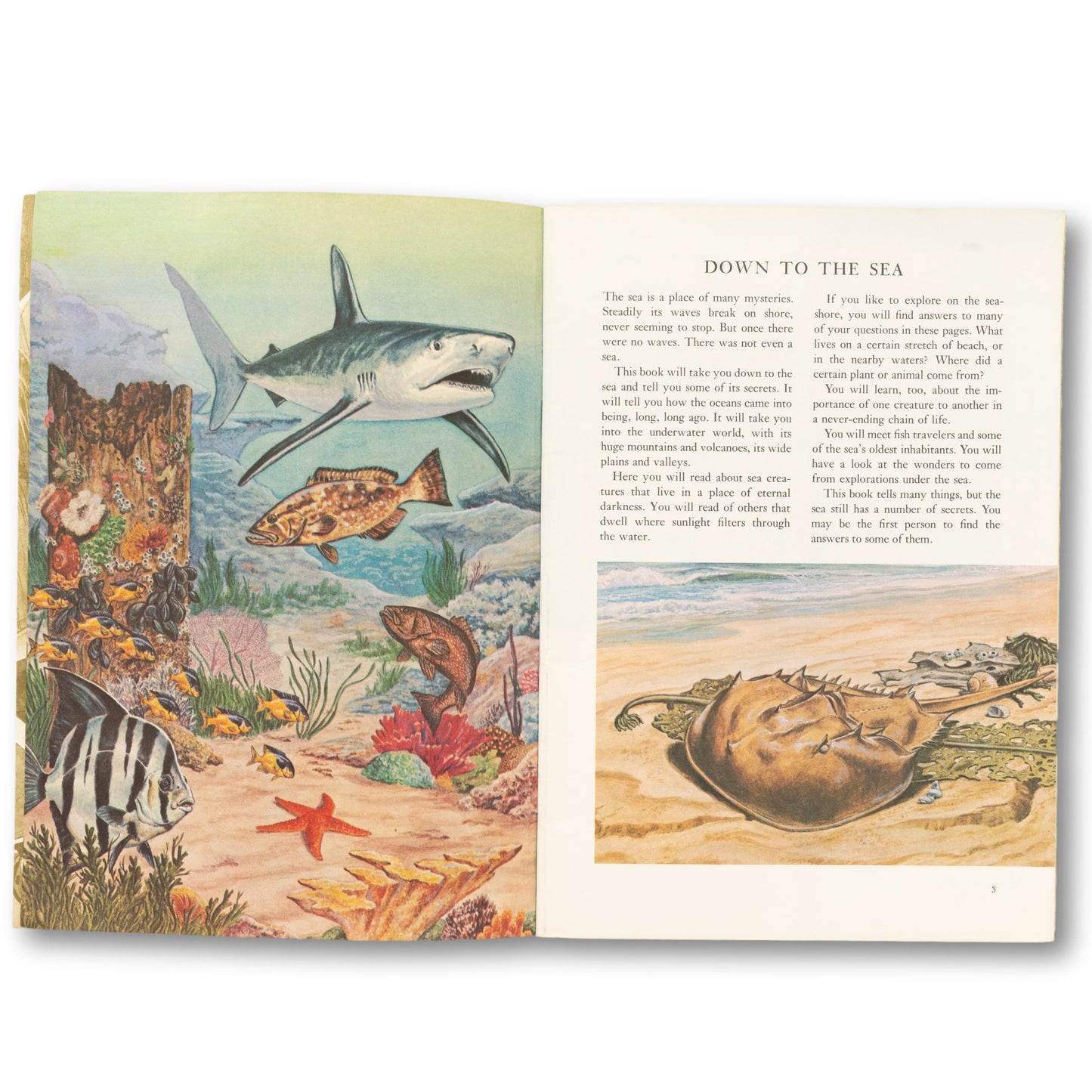 1973 "Oceanography" Golden Book