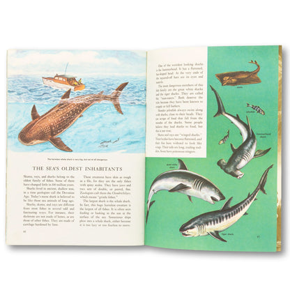 1973 "Oceanography" Golden Book