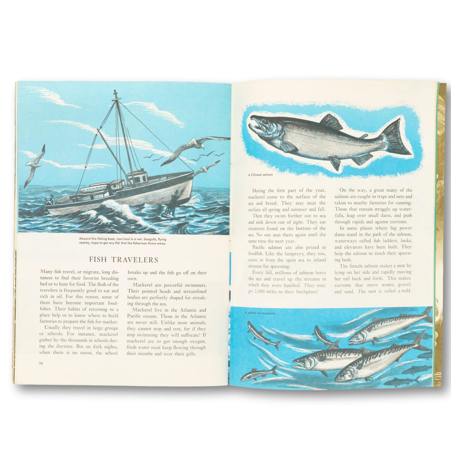 1973 "Oceanography" Golden Book