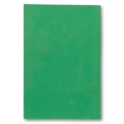 Red Cross First Aid Book
