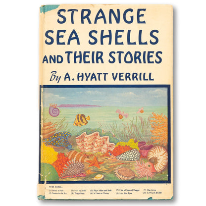 "Strange Sea Shells and Their Stories" Book