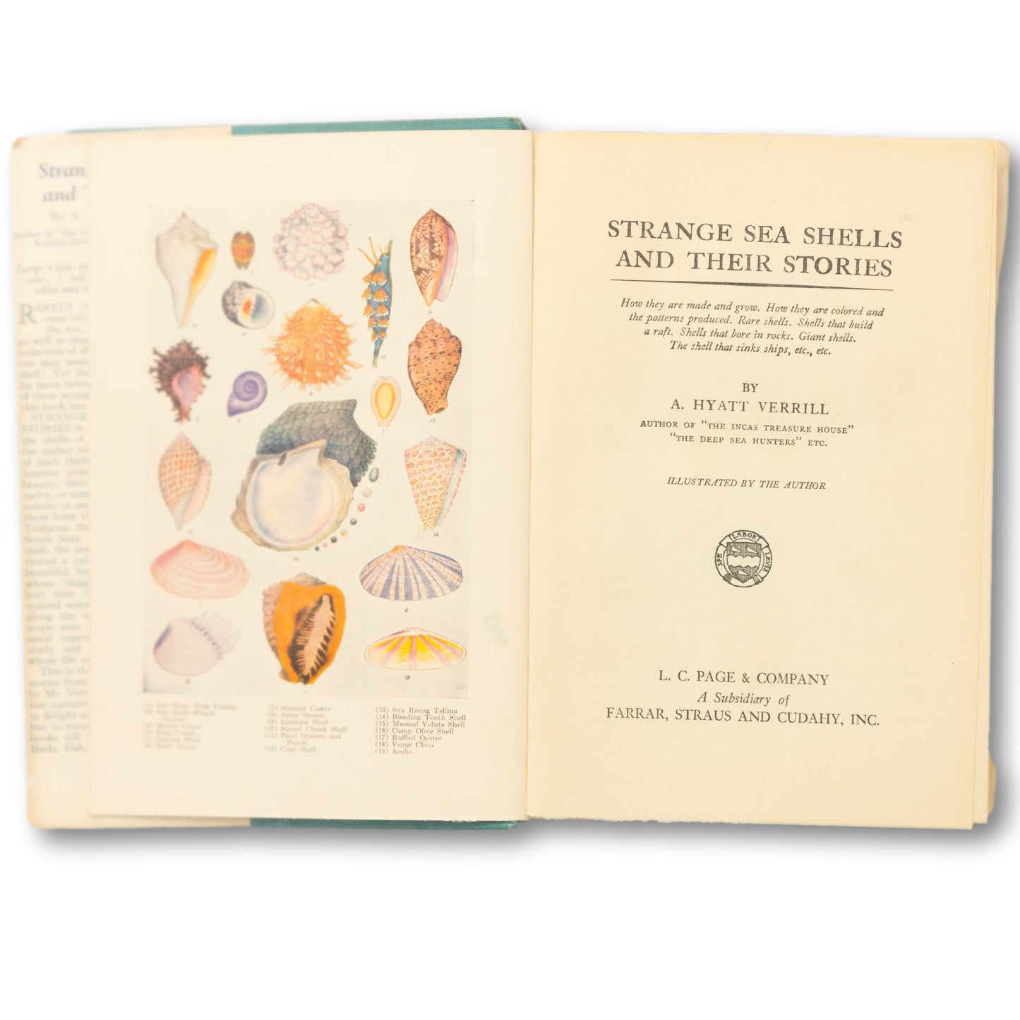 "Strange Sea Shells and Their Stories" Book