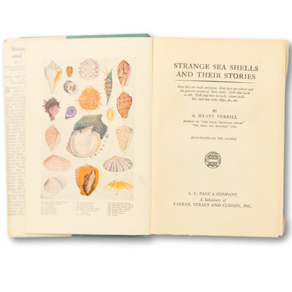 "Strange Sea Shells and Their Stories" Book