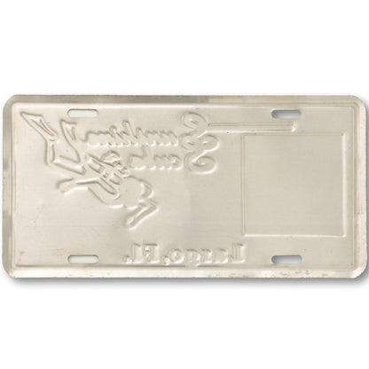 Scuba Novelty License Plate