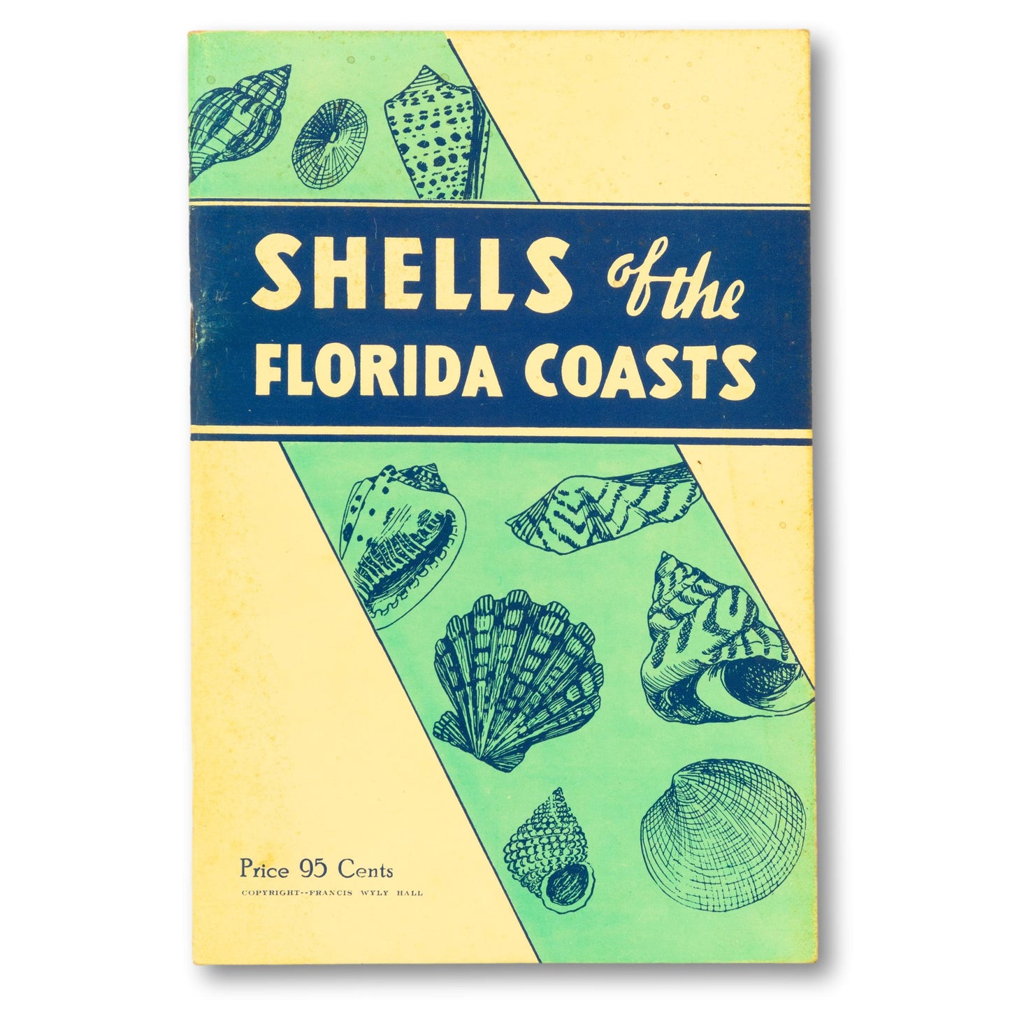 Shells of The Florida Coast