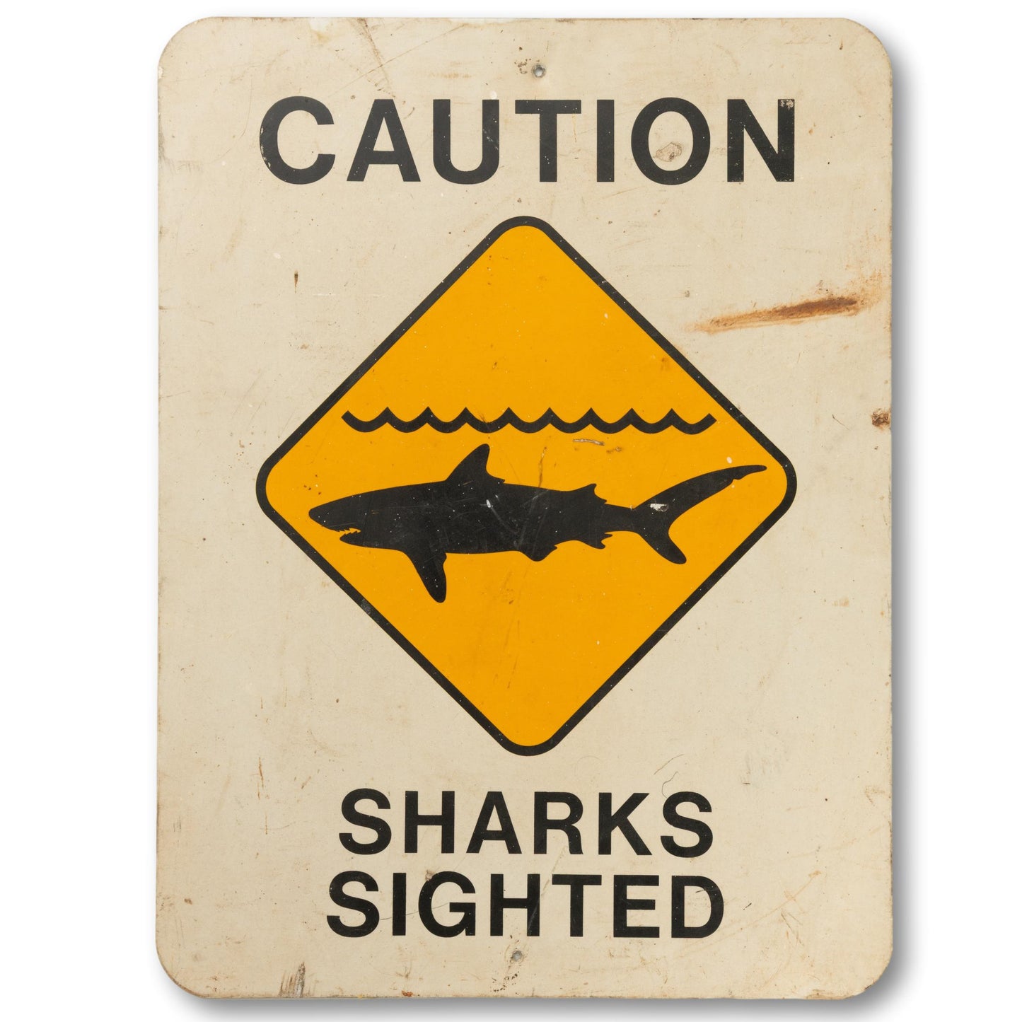 "Sharks Sighted" Sign