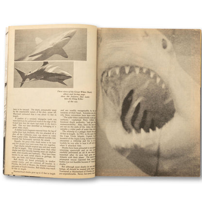 "Killer Sharks" Collector's Edition Magazine