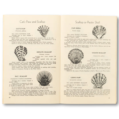"Handbook Of Shells" Book