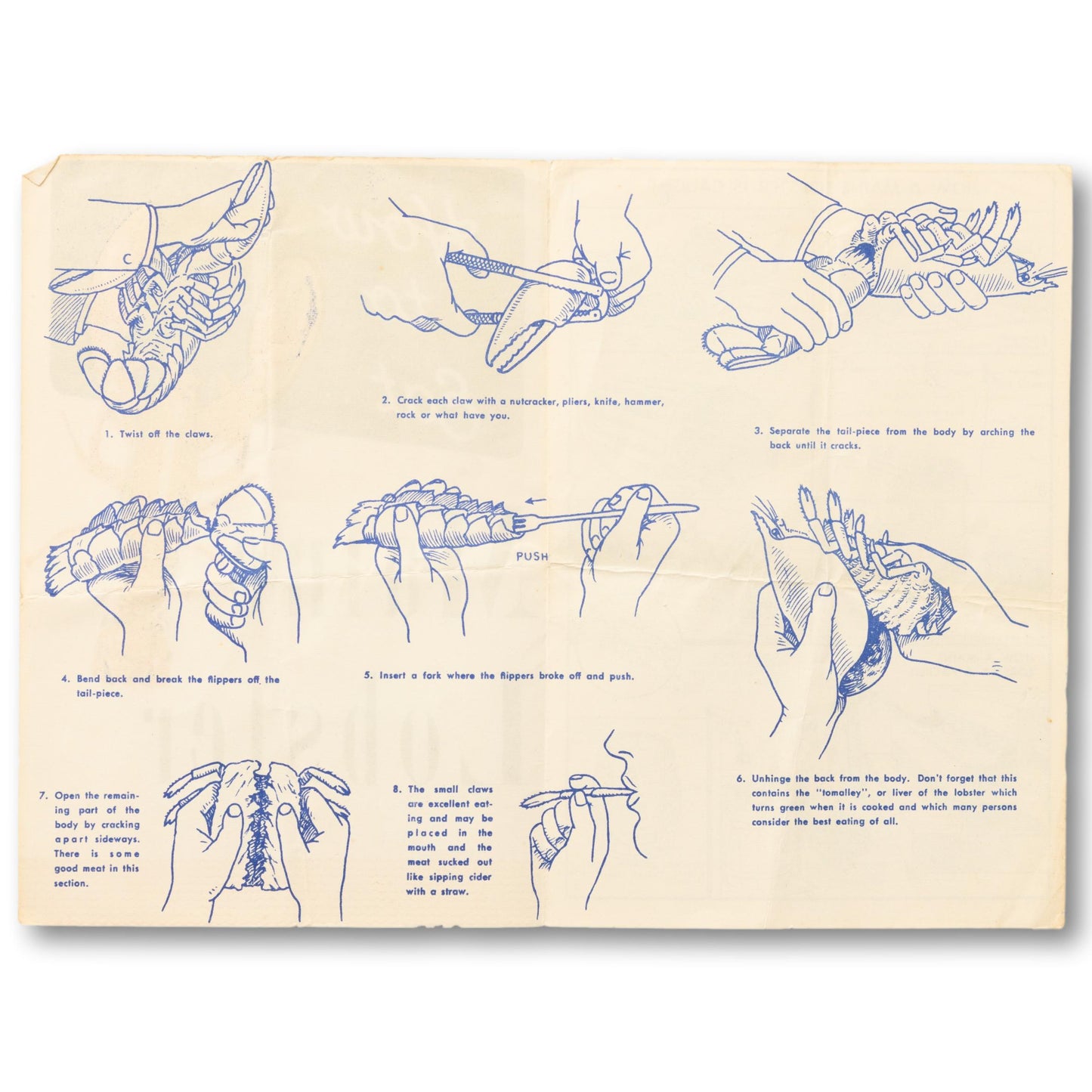 "How to Eat Maine Lobster" Guide