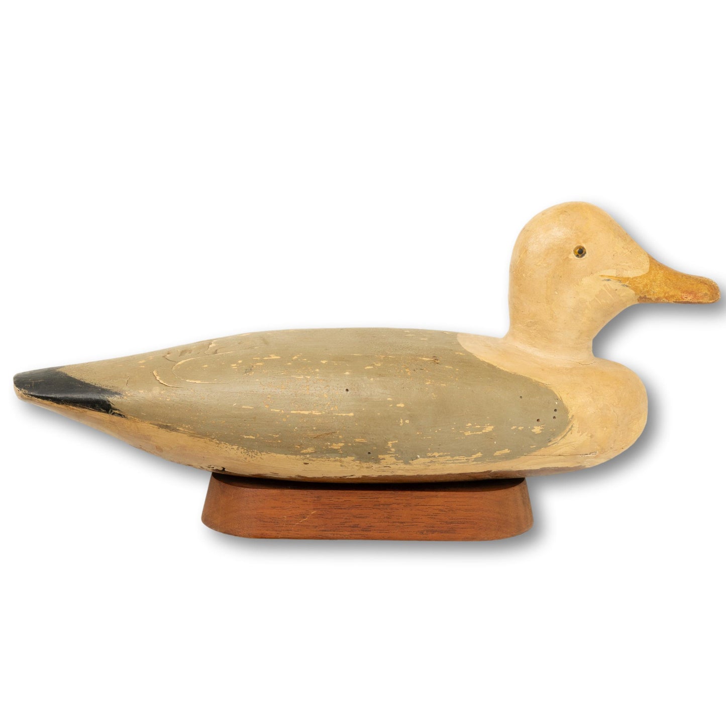 Seagull Decoy on Stand