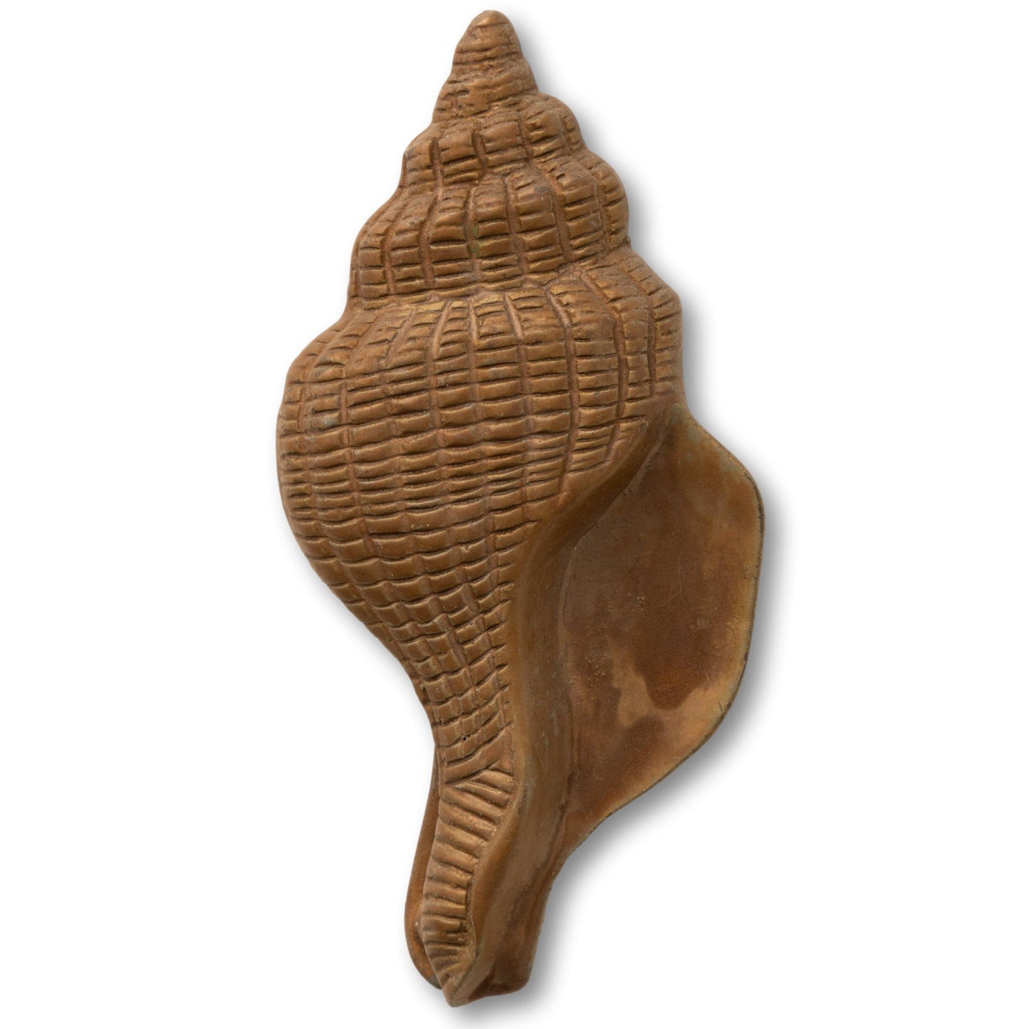 Conch Shell Door Knocker