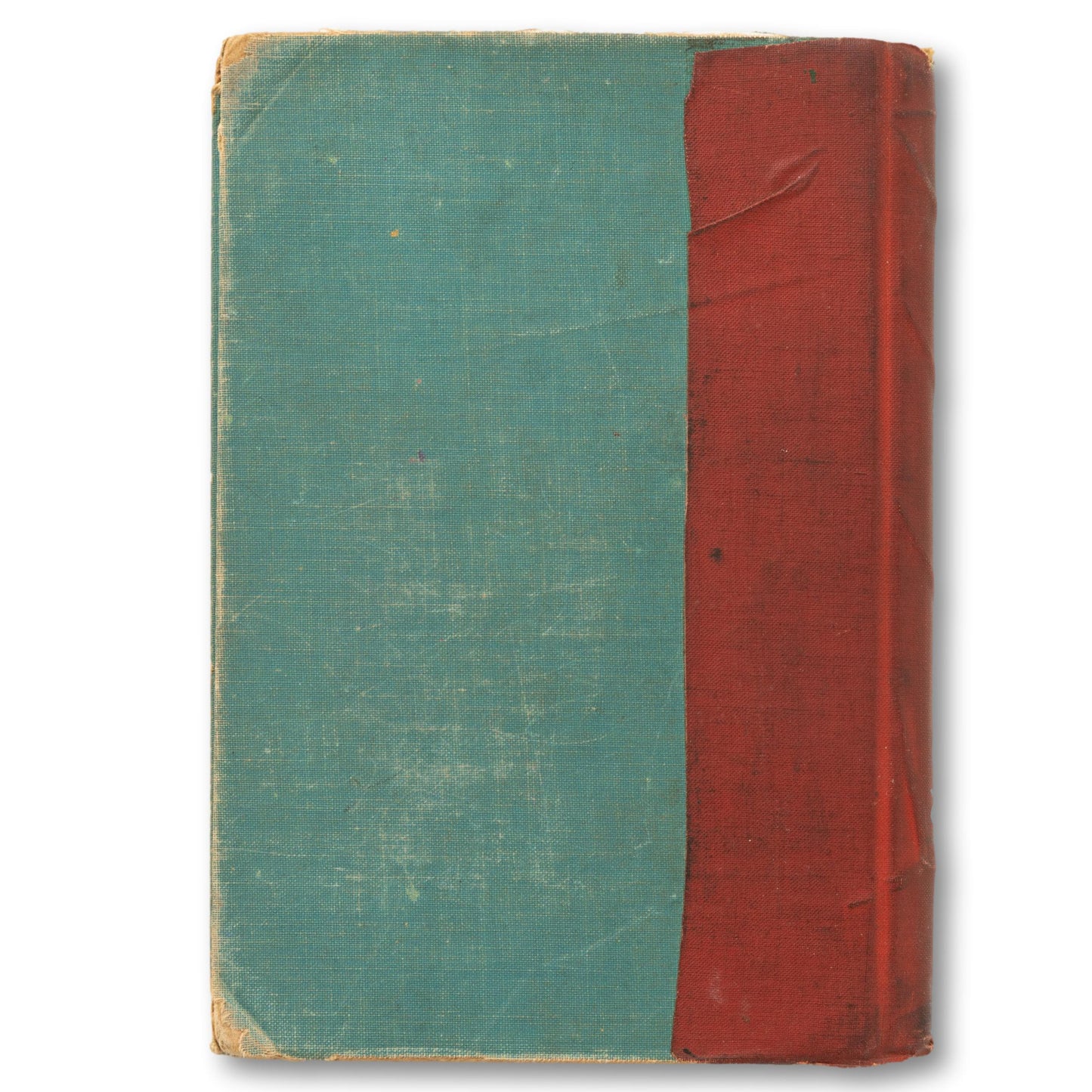"Oysters" Illustrated Book
