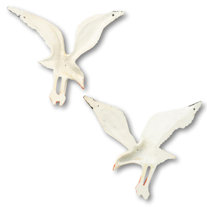 Pair of Seagulls