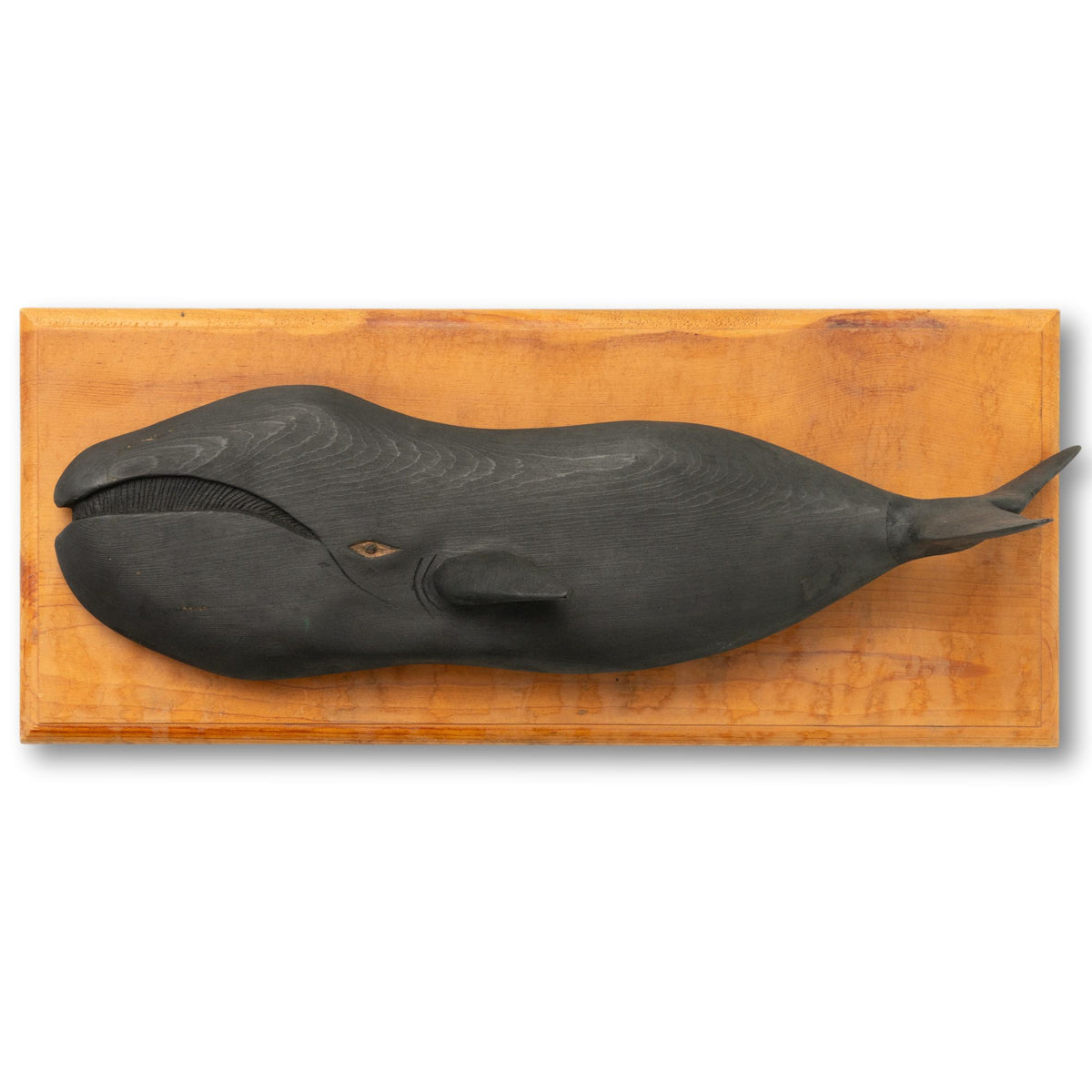 Exceptional Carved Whale On Plaque