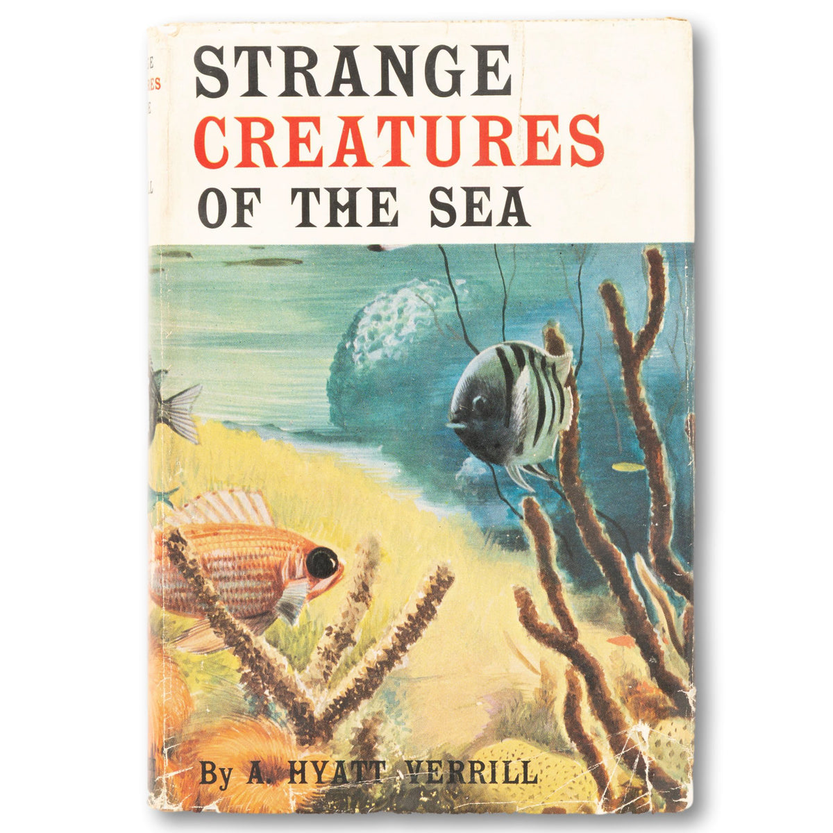 1955 Strange Creatures Of The Sea