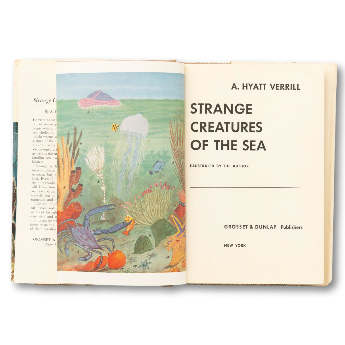 1955 Strange Creatures Of The Sea
