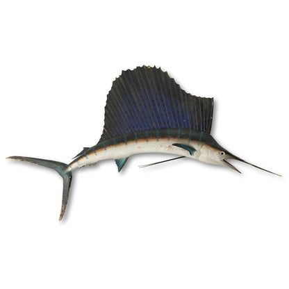 Marlin Wall-Mount
