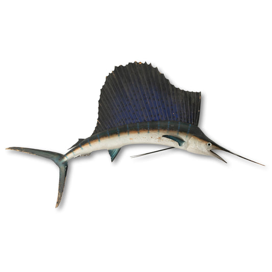 Marlin Wall-Mount