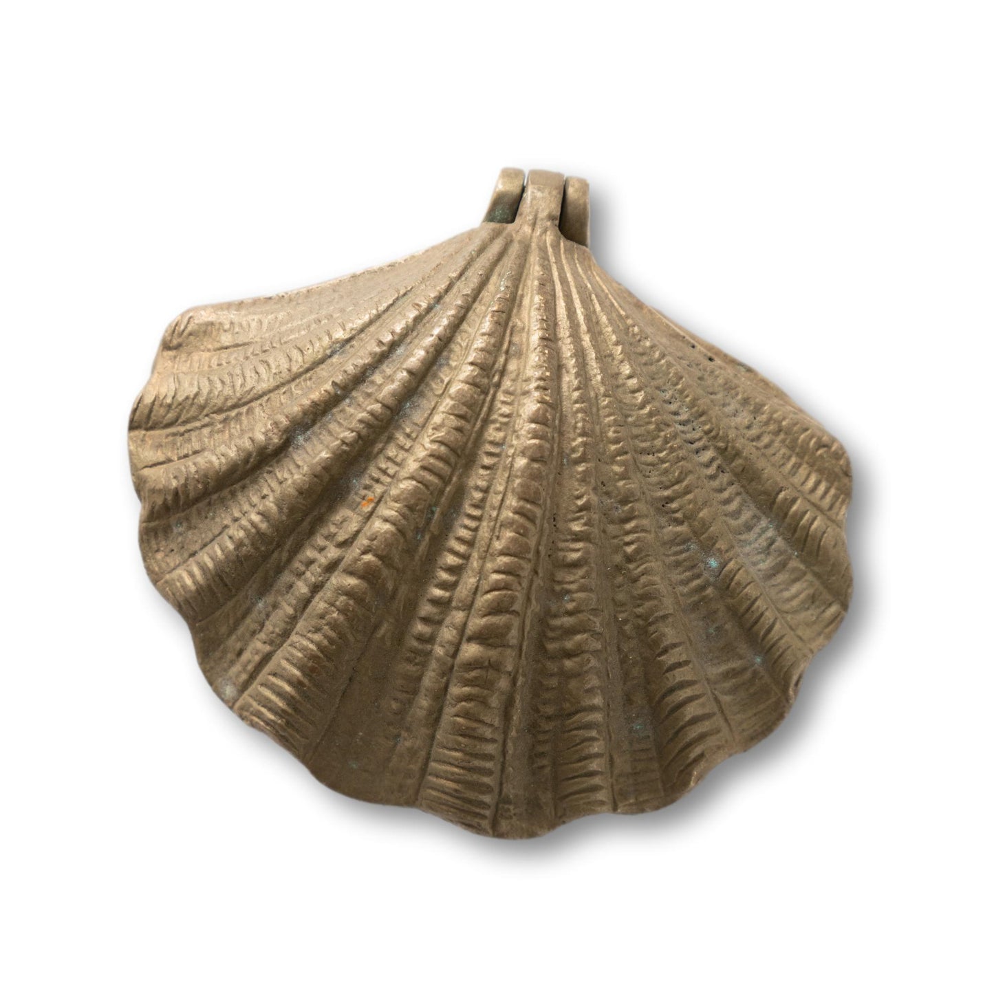 Brass Seashell Stash Box