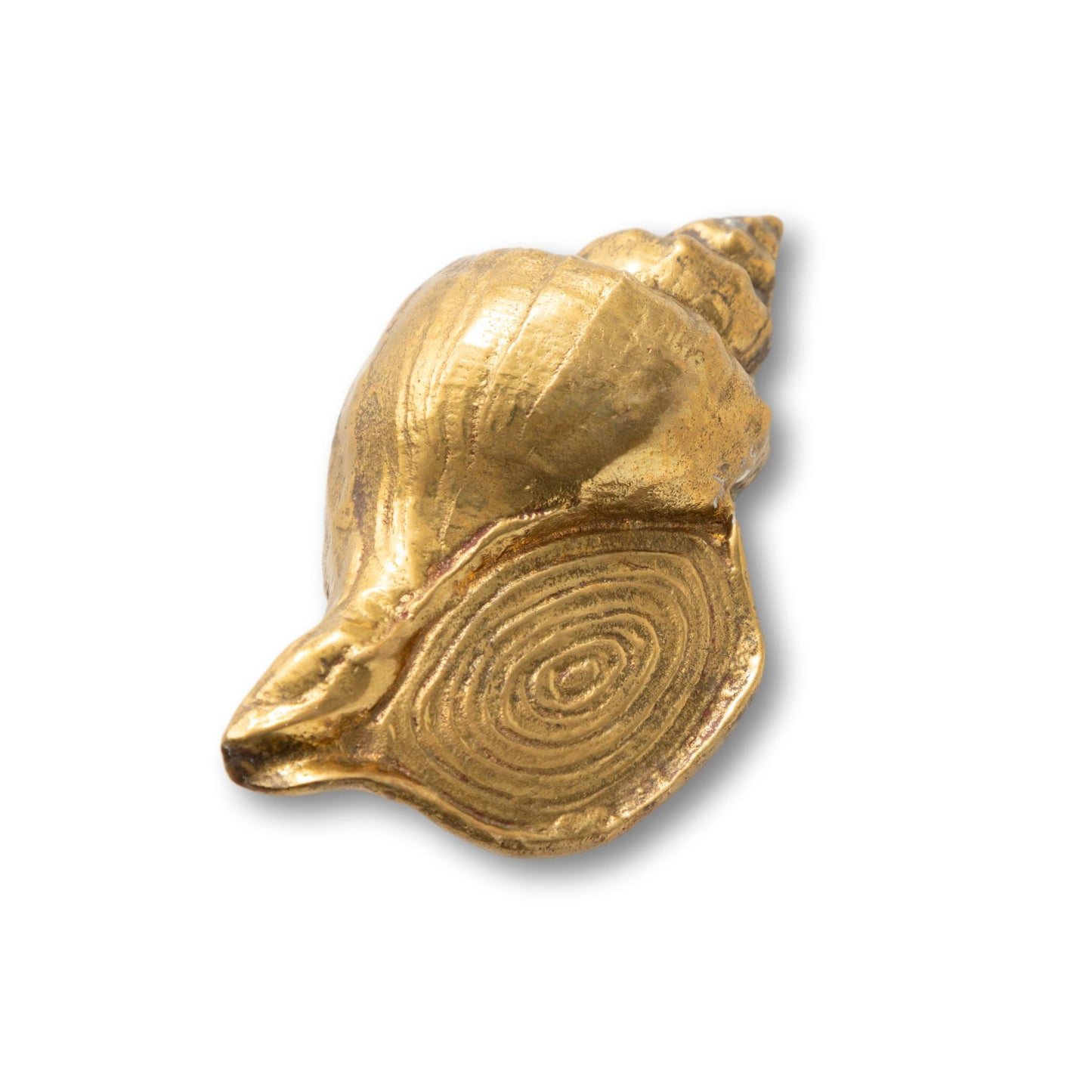 Brass Conch Shell