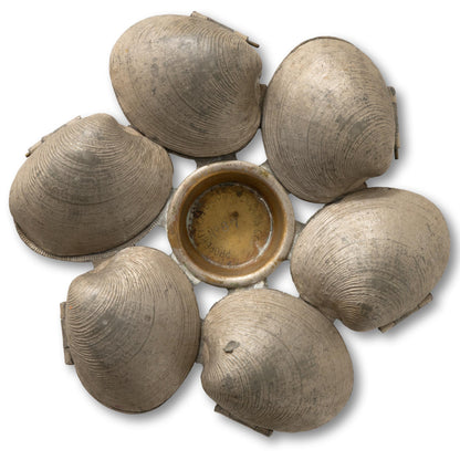 Amazing Clam Serving Dish